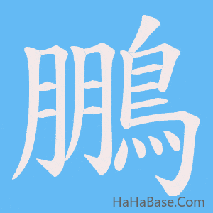 《鵬》的筆順動畫寫字動畫演示