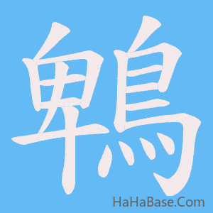 《鵯》的筆順動畫寫字動畫演示
