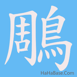 《鵰》的筆順動畫寫字動畫演示