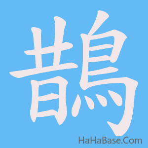 《鵲》的筆順動畫寫字動畫演示