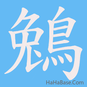 《鵵》的筆順動畫寫字動畫演示