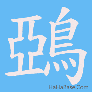 《鵶》的筆順動畫寫字動畫演示