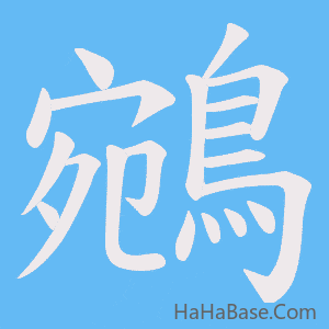 《鵷》的筆順動畫寫字動畫演示