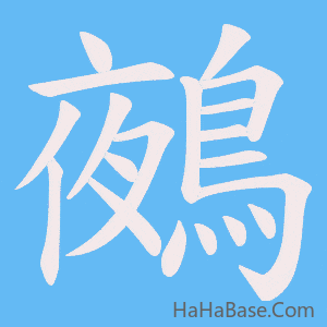 《鵺》的筆順動畫寫字動畫演示