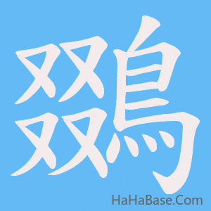 《鵽》的筆順動畫寫字動畫演示