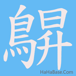 《鵿》的筆順動畫寫字動畫演示
