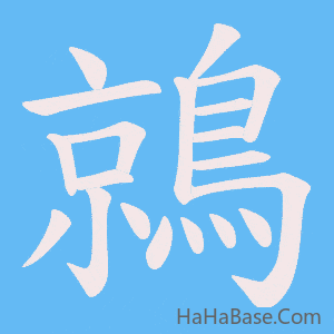 《鶁》的筆順動畫寫字動畫演示