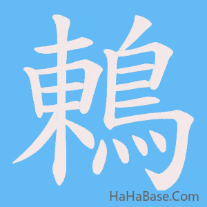 《鶇》的筆順動畫寫字動畫演示