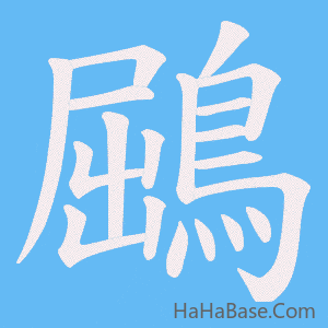 《鶌》的筆順動畫寫字動畫演示
