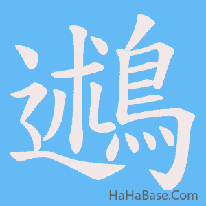 《鶐》的筆順動畫寫字動畫演示