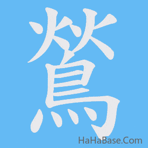 《鶑》的筆順動畫寫字動畫演示