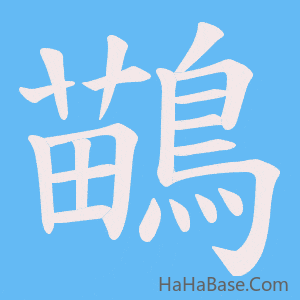《鶓》的筆順動畫寫字動畫演示