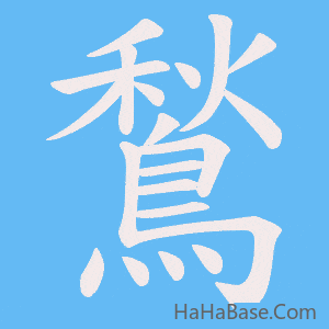 《鶖》的筆順動畫寫字動畫演示