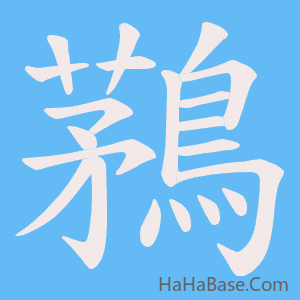 《鶜》的筆順動畫寫字動畫演示