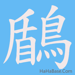 《鶞》的筆順動畫寫字動畫演示