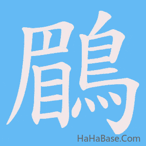 《鶥》的筆順動畫寫字動畫演示