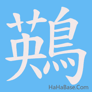 《鶧》的筆順動畫寫字動畫演示