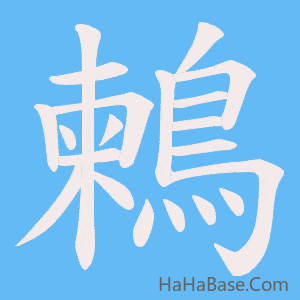 《鶫》的筆順動畫寫字動畫演示