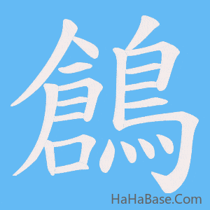 《鶬》的筆順動畫寫字動畫演示