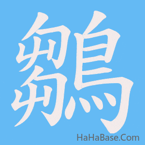 《鶵》的筆順動畫寫字動畫演示