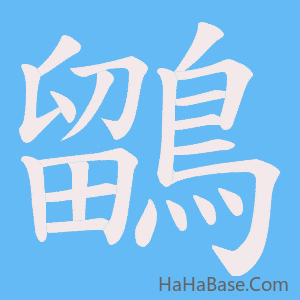 《鶹》的筆順動畫寫字動畫演示