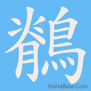 《鶺》的筆順動畫寫字動畫演示