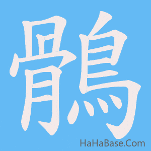 《鶻》的筆順動畫寫字動畫演示