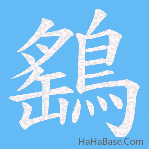 《鷂》的筆順動畫寫字動畫演示