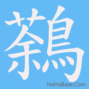 《鷋》的筆順動畫寫字動畫演示