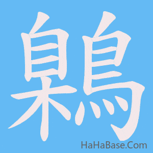 《鷍》的筆順動畫寫字動畫演示