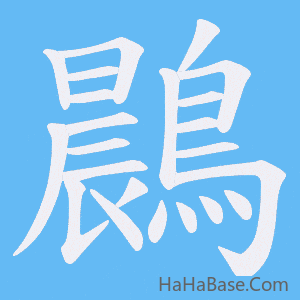 《鷐》的筆順動畫寫字動畫演示