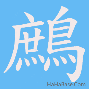 《鷓》的筆順動畫寫字動畫演示