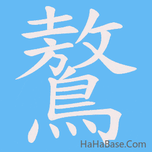 《鷔》的筆順動畫寫字動畫演示