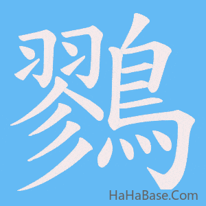 《鷚》的筆順動畫寫字動畫演示