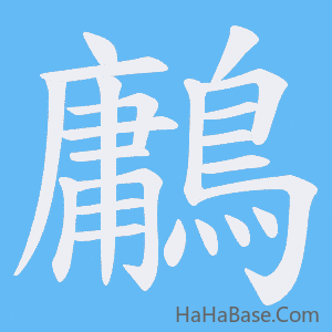 《鷛》的筆順動畫寫字動畫演示