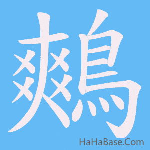 《鷞》的筆順動畫寫字動畫演示