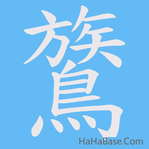 《鷟》的筆順動畫寫字動畫演示