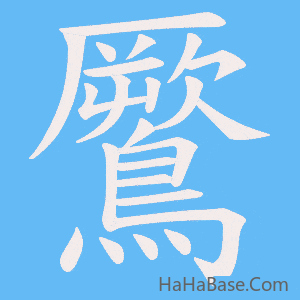 《鷢》的筆順動畫寫字動畫演示