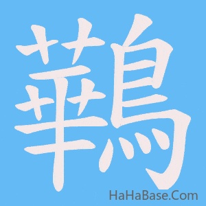 《鷨》的筆順動畫寫字動畫演示