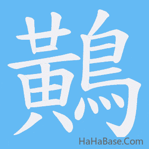 《鷬》的筆順動畫寫字動畫演示