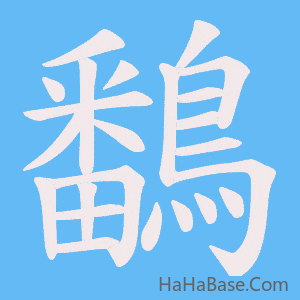 《鷭》的筆順動畫寫字動畫演示
