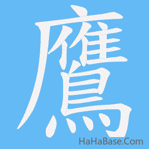 《鷹》的筆順動畫寫字動畫演示