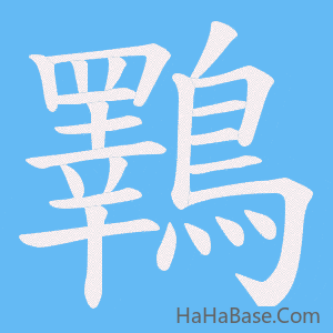 《鸅》的筆順動畫寫字動畫演示