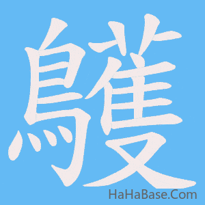 《鸌》的筆順動畫寫字動畫演示