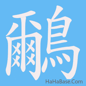 《鸍》的筆順動畫寫字動畫演示