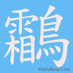 《鸘》的筆順動畫寫字動畫演示