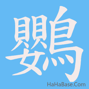 《鸚》的筆順動畫寫字動畫演示