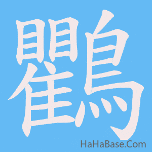《鸜》的筆順動畫寫字動畫演示