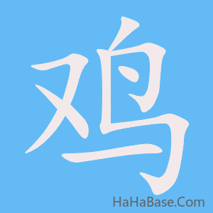 《鸡》的筆順動畫寫字動畫演示