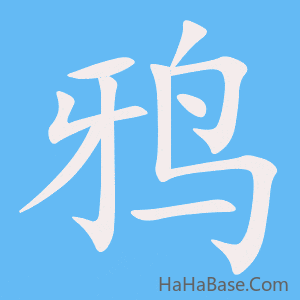 《鸦》的筆順動畫寫字動畫演示
